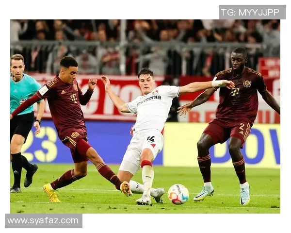 德国足球甲级联赛发展历程及其对全球足球文化的影响分析