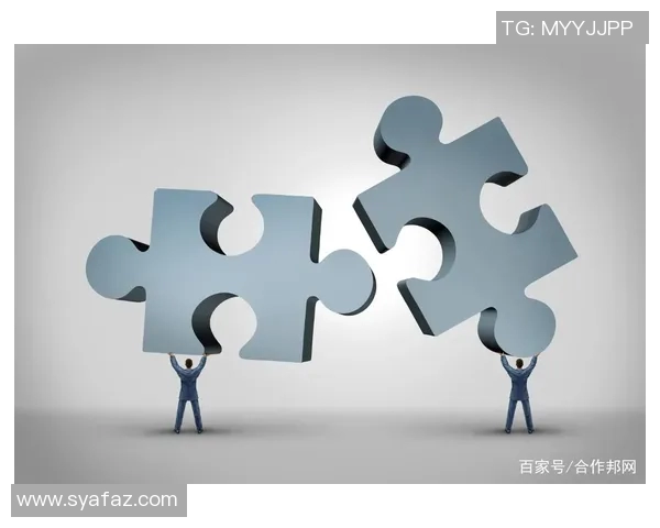 以联盟为核心的战略合作模式探索与实践分析