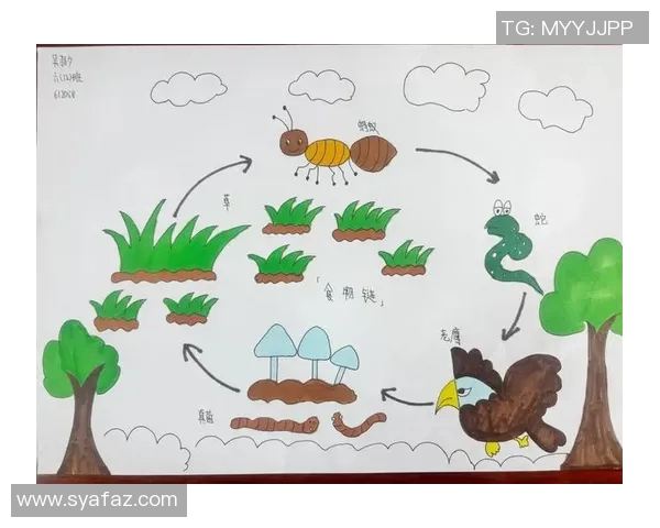 灰熊的生存智慧与生态影响探秘：从栖息地到食物链的全面分析