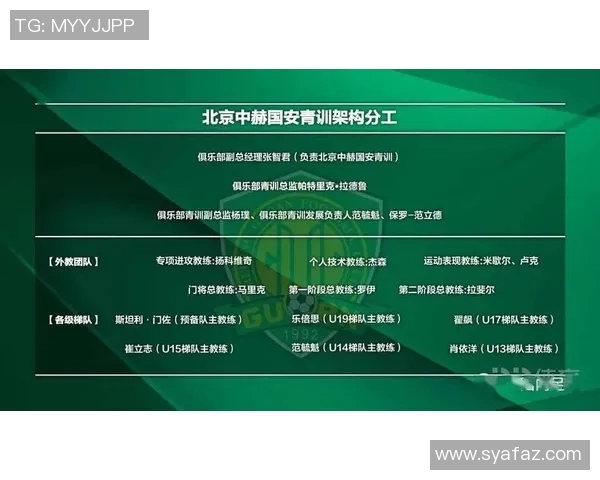 荷兰足球甲级联赛发展历程与现状分析:球队竞争力与青训体系的提升 荷兰足球甲级联赛发展历程与现状分析:球队竞争力与青训体系的提升